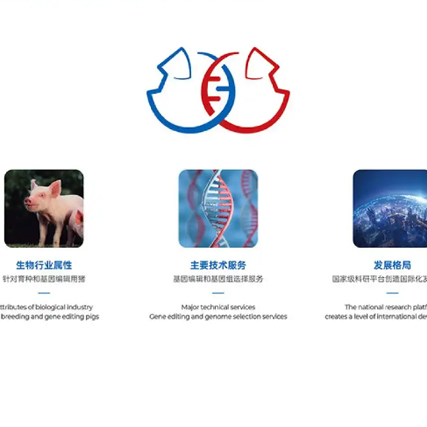 如何巧妙融合不同元素進行Logo設(shè)計？